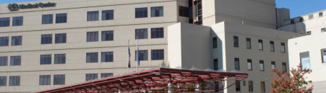 Ioannis A. Lougaris VA Medical Center